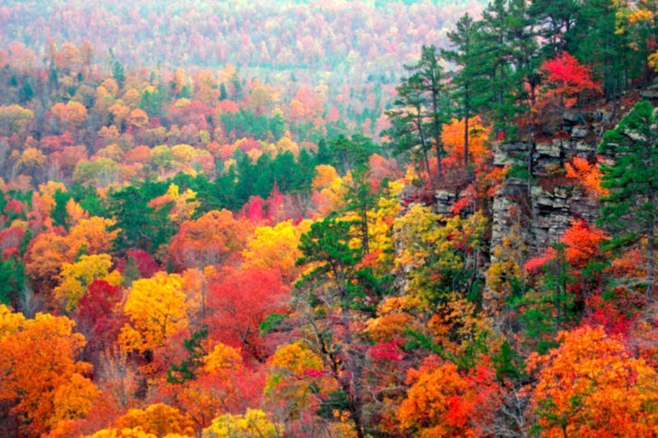 Lake Lucerne - Treehouse Cabin #01 Eureka Springs Luaran gambar